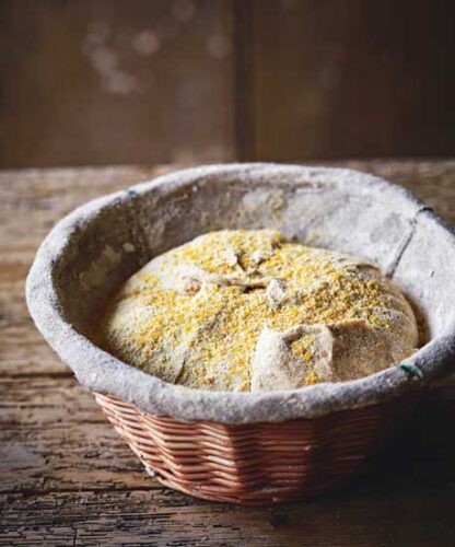 Bread-Making Basics: Getting Started on Your Sourdough